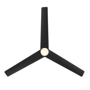 Aqira 54" Ceiling Fan, Matte Black