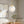 Avenorae 12