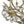 Ivy 20.5'' Five Light Semi Flush Mount, Champagne