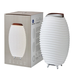Synergy 16" Cordless Rechargeable Indoor/Outdoor Speaker Lamp, White
