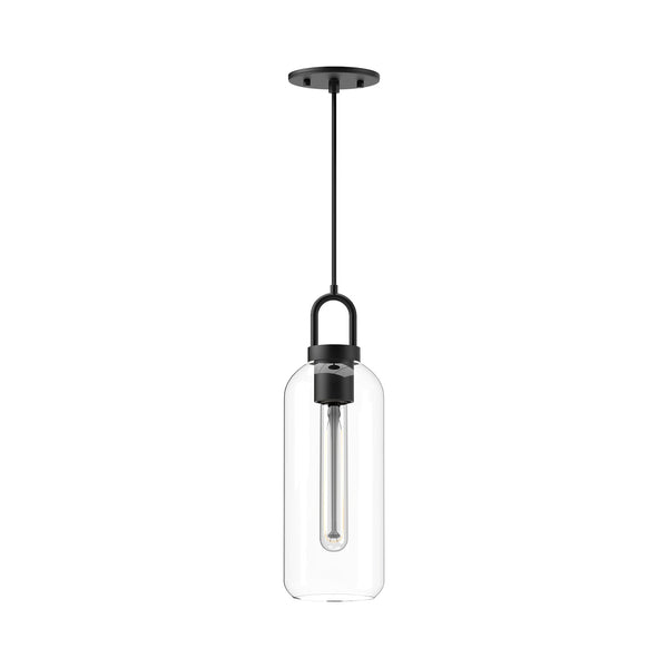 Dallas 5" Pendant Light, Clear Glass/Matte Black