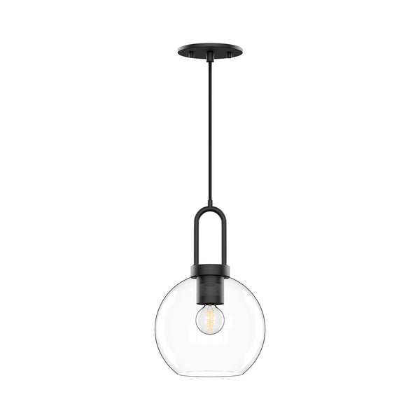 Groves 8" Orb Pendant, Clear Glass/Matte Black