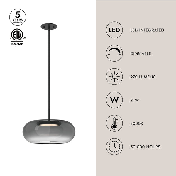 Liora 14" LED Pendant Light, Black/Smoked