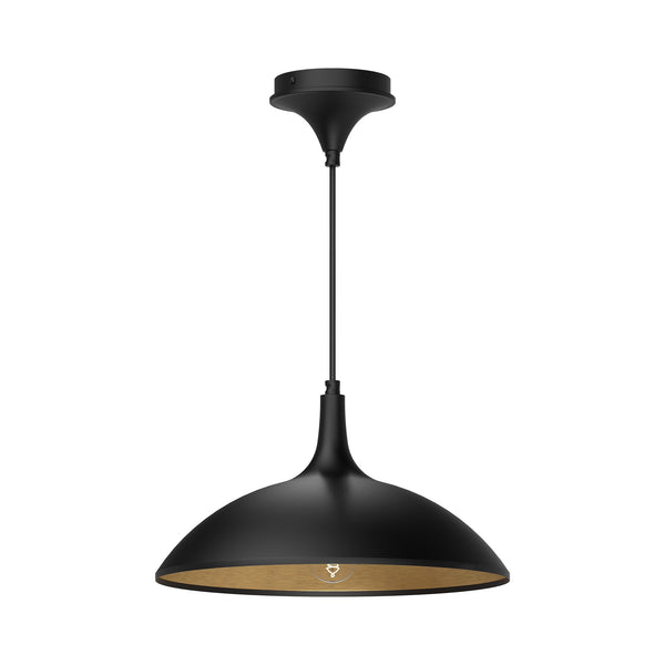 Sora 14" Pendant Light, Matte Black