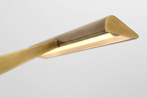 Petrel 18" LED Picture Light, Hand-Rubbed Antique Brass