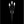 Secret Garden 4'' LED Wall Sconce, Black with Heritage Optic Haze