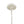 Lana 12'' One Light Mini Chandelier, Matte White / Antique Gold - Alternate Product Image 1.jpg