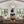 Adler 26.75'' 12 Light Chandelier, Aged Brass Clear Alt 5.jpg