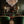 Adler 32'' 16 Light Chandelier, Aged Brass Autumn Alt 5.jpg