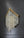 Asher One Light Wall Sconce, Aged Brass - Alternate Product Image 1.jpg