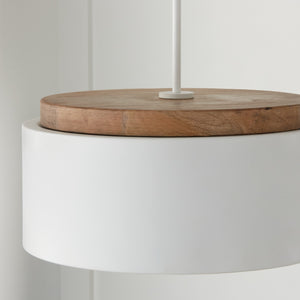 Aiden 18'' One Light Pendant, Light Wood and White - Alternate Product Image 1.jpg